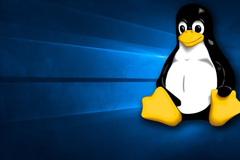 The Windows 10 wallpaper with Tux instead of the Windows logo HD Wallpaper  From Gallsource.