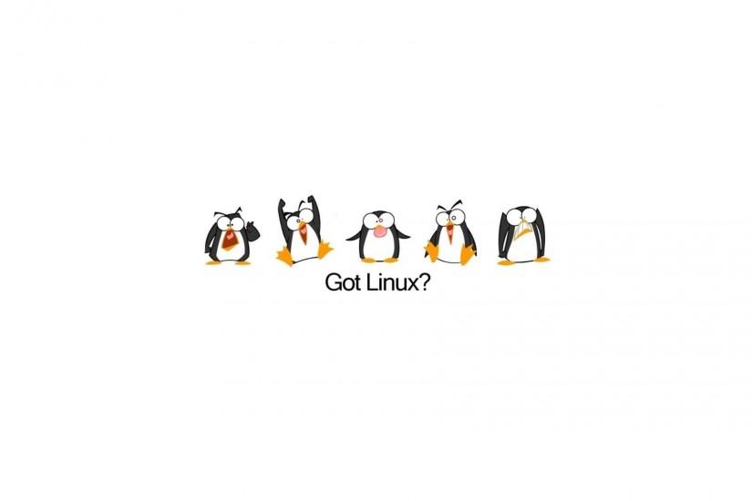 Linux Penguin Wallpapers - Full HD wallpaper search