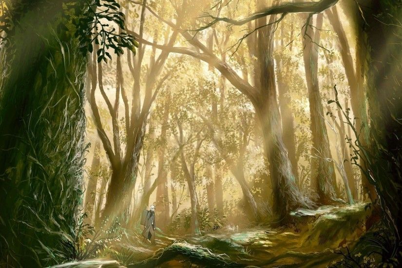 Enchanted Forest Wallpapers HD Wallpapers