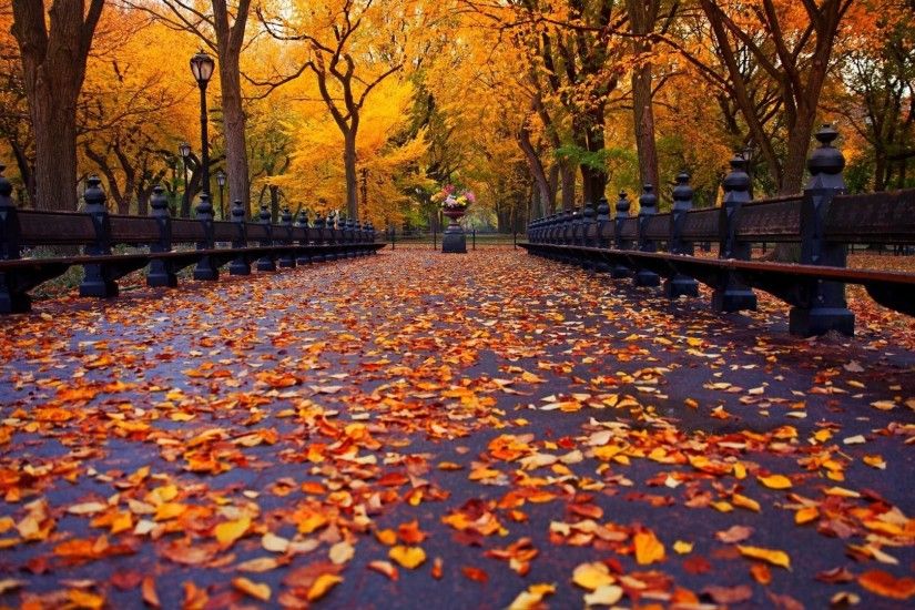 1920x1080 Wallpaper Autumn alley in the park (New York) (1920 x 1080 HDTV
