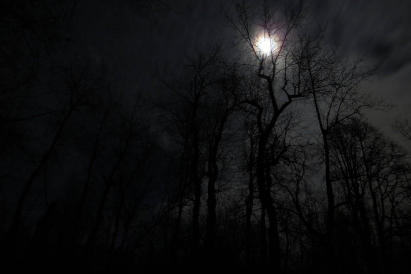 Is anyone here into taking photos in the woods at night? If so, I am  curious to see them. These are a few of my favorites I have taken recently.
