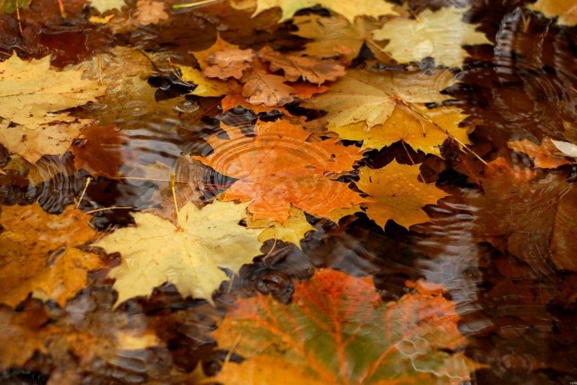 Water Autumn Wallpapers - HD Wallpapers Inn