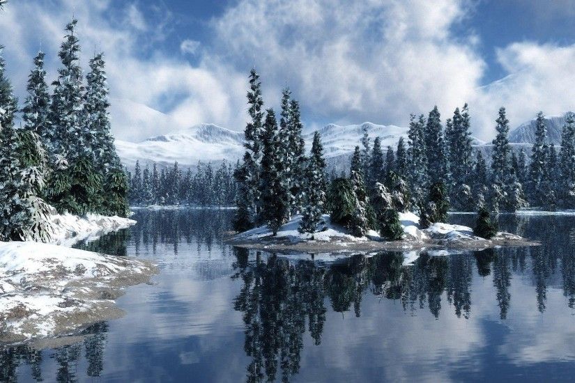 magical beautiful winter forest HD wallpapers