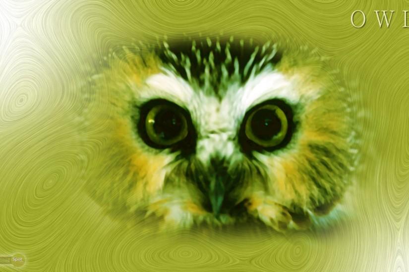 Free Owl Wallpaper