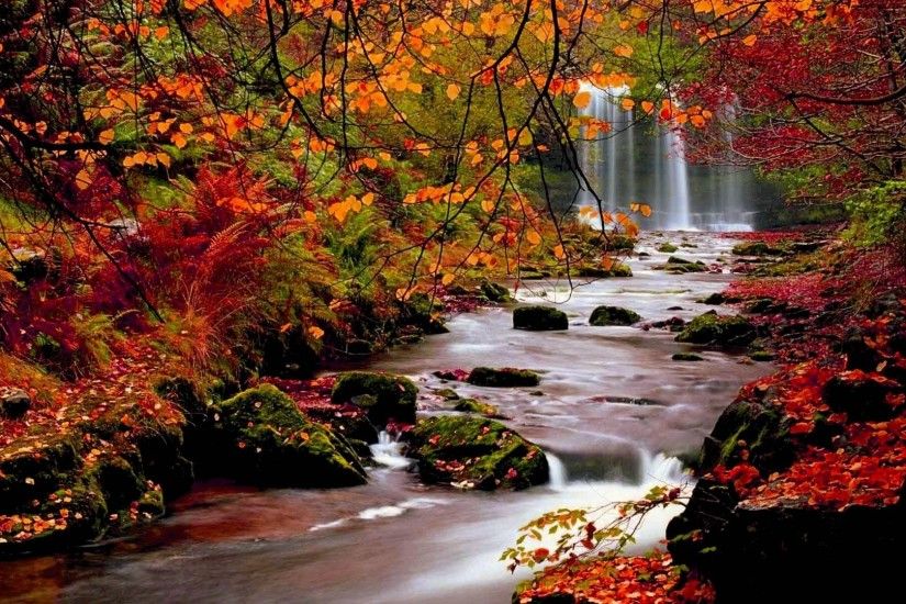 Image: Beautiful Fall Scenery Wallpaper