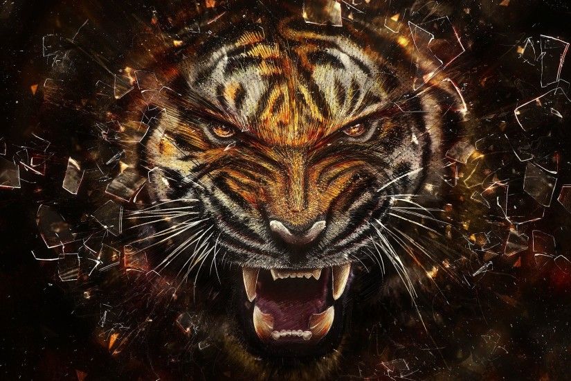Angry Tiger – Tigers Wallpaper. tiger pictures