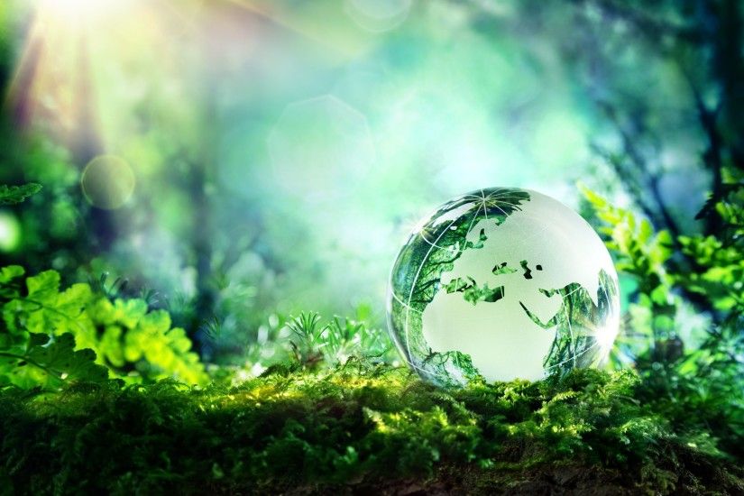 globe on moss in a forest - Europe - environment concept