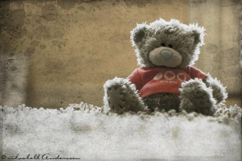 teddy bear latest hd wallpaper | Teddy Bear Wallpaper | HD .