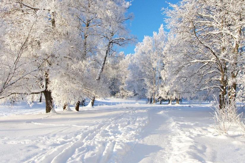most popular winter backgrounds 1920x1200