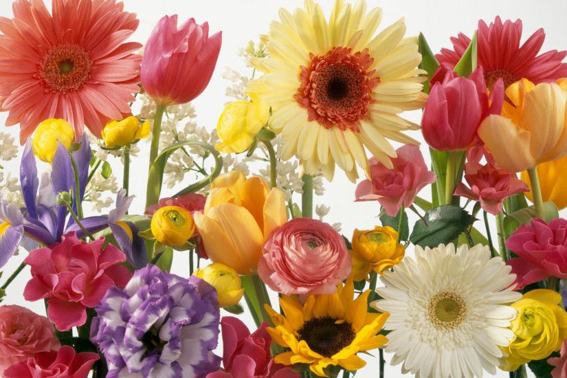 Flower Free Spring Wallpaper | spring wallpapers hd desktop background free  flowers spring wallpapers .