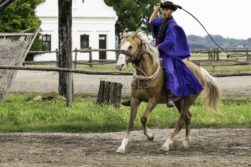 Puszta, Hungary, Horse Farm, Equestrian