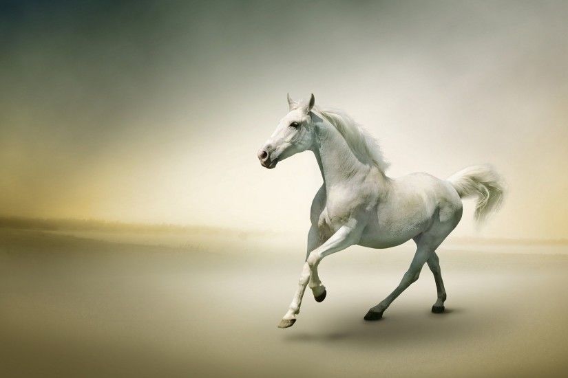 Beautiful Horse Desktop Hd Wallpapers