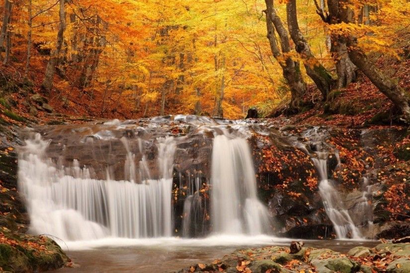 Leaves Tag - Colors Trees Seasons Leaves Autumn Fall Landscapes Forest  Nature Waterfall Rivers Hd Wallpapers