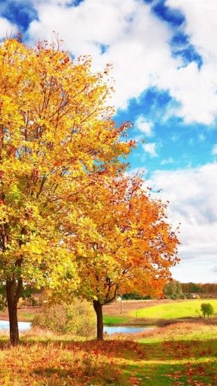 Autumn Trees Colors Palette Bright Leaf Fall iPhone 6 Plus .