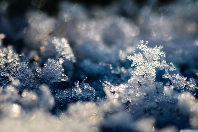 Snowflakes Tag - Snowflakes Slush Ice Nature Photos Gallery for HD 16:9  High Definition