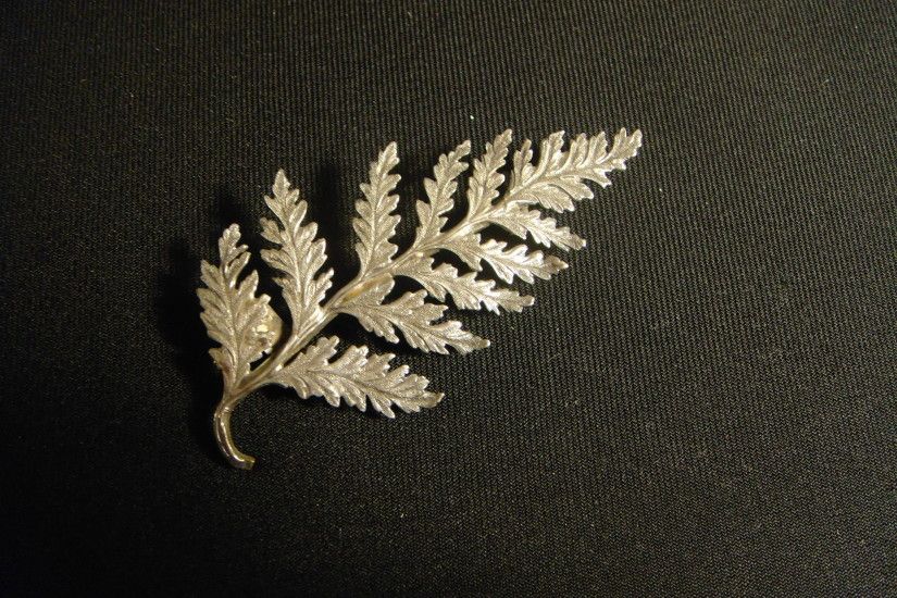 The silver fern pin of Graham Shannon, one of the 1893 All Blacks.