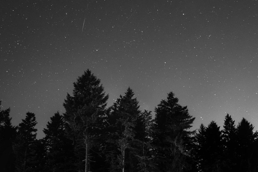 2560x1440 Wallpaper starry sky, night, bw