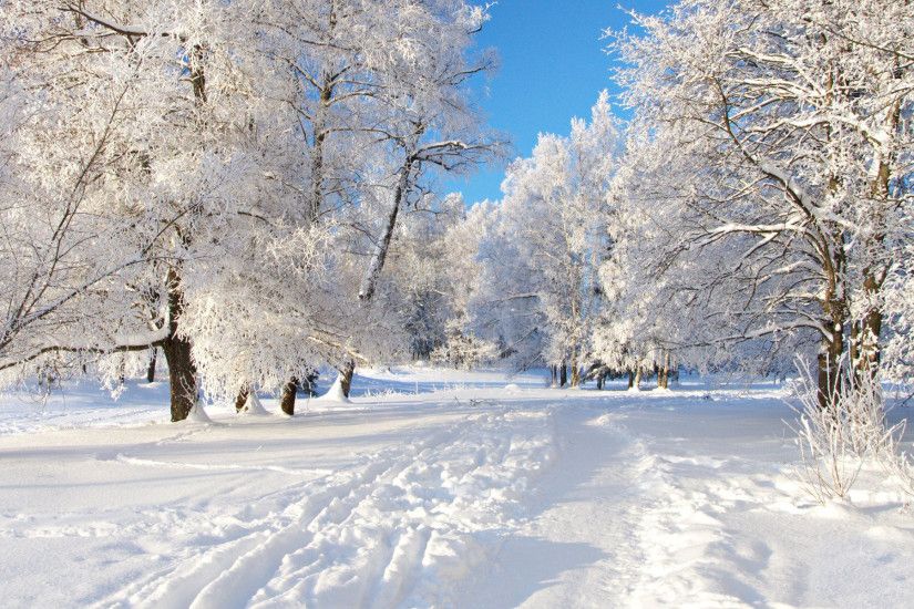 Winter Backgrounds Wallpapers (53 Wallpapers)