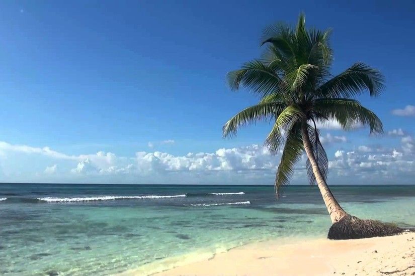 â¥â¥ Relaxing 3 Hour Video of Tropical Beach with Blue Sky White Sand and  Palm Tree - YouTube