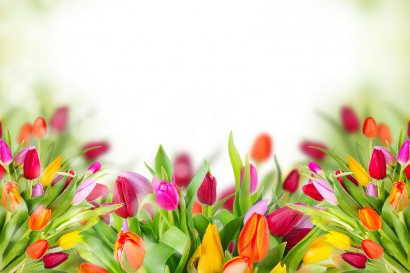 Digital Tulips Wallpaper Background 2299