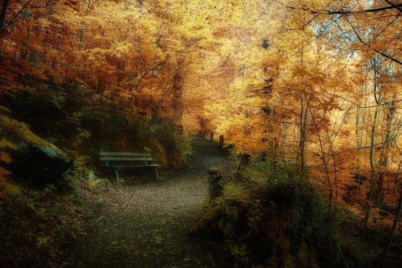 Wallpapers, superb-autumn-forest-landscape-1920x1080-wallpaper .