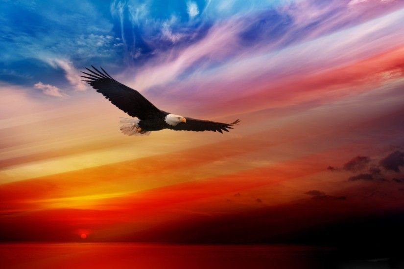 bald-eagle-flag-background-2560Ã1440