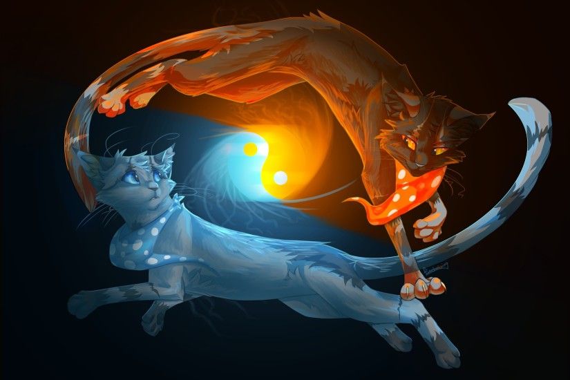 2 Fire Cats | Animals, cats, yin-yang, fire, water,