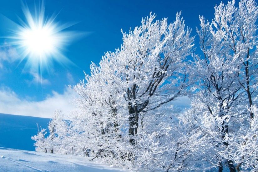 free winter background pictures