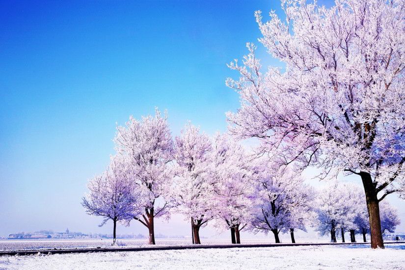 Description: Download Winter landscape HD & Widescreen Wallpaper ...