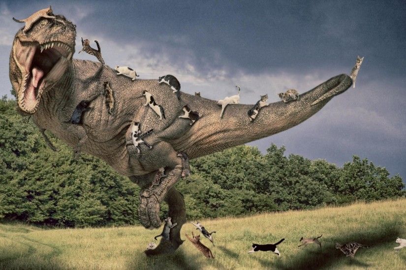 Tyrannosaurus rex artwork cats photo manipulation wallpaper