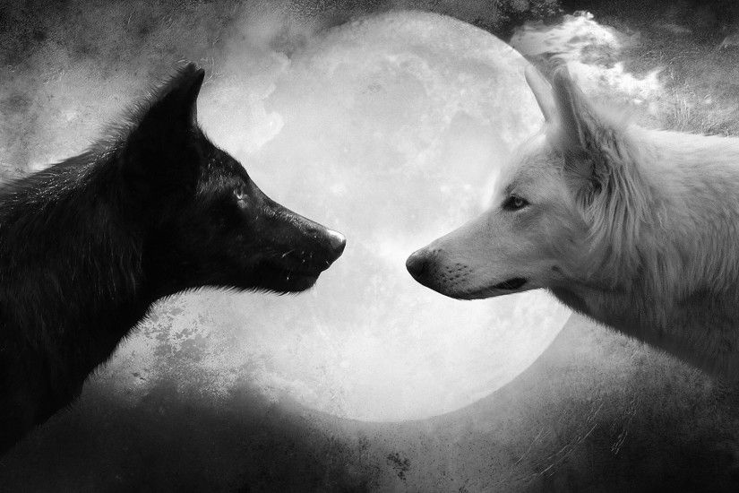 Animal - Wolf Black White Moon Wallpaper