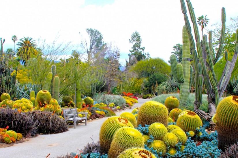 2560x1080 Wallpaper botanical garden, san marino, california, usa, garden,  cactus