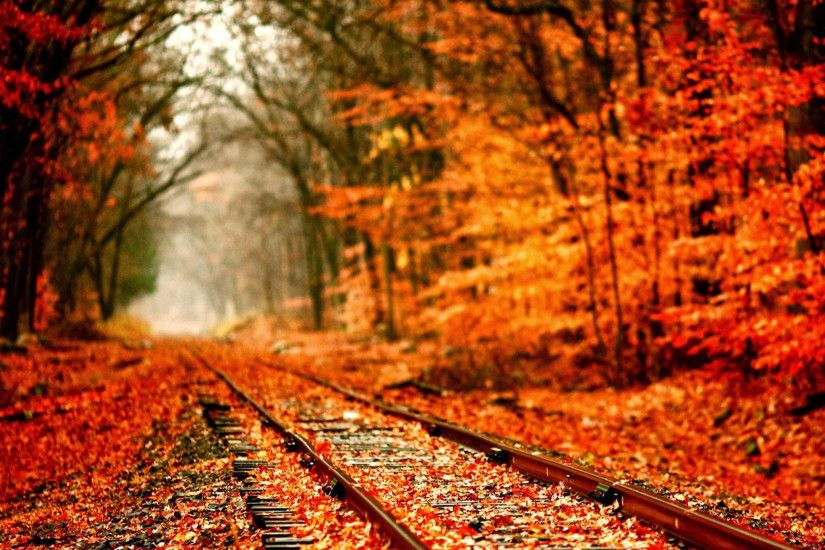 Autumn Railway Covered With Orange Maple Leves iPad Air Wallpaper