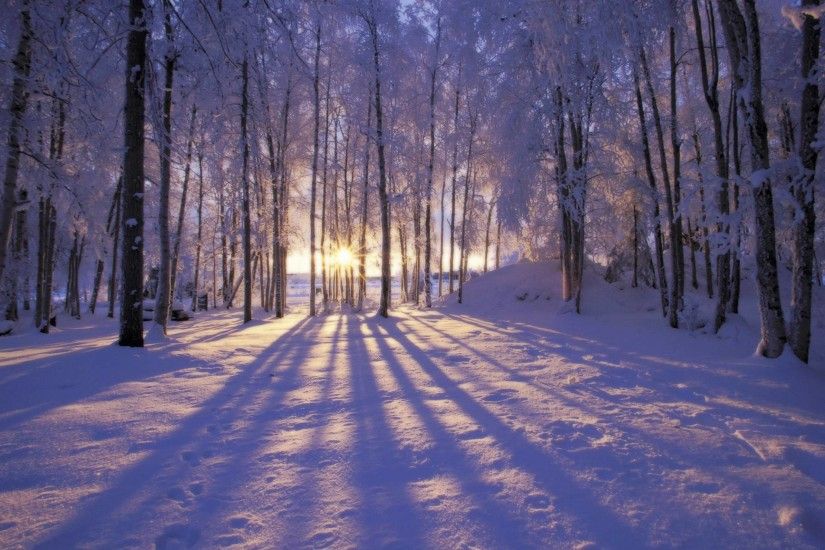 Wallpapers For > Beautiful Winter Scenery Wallpaper Hd