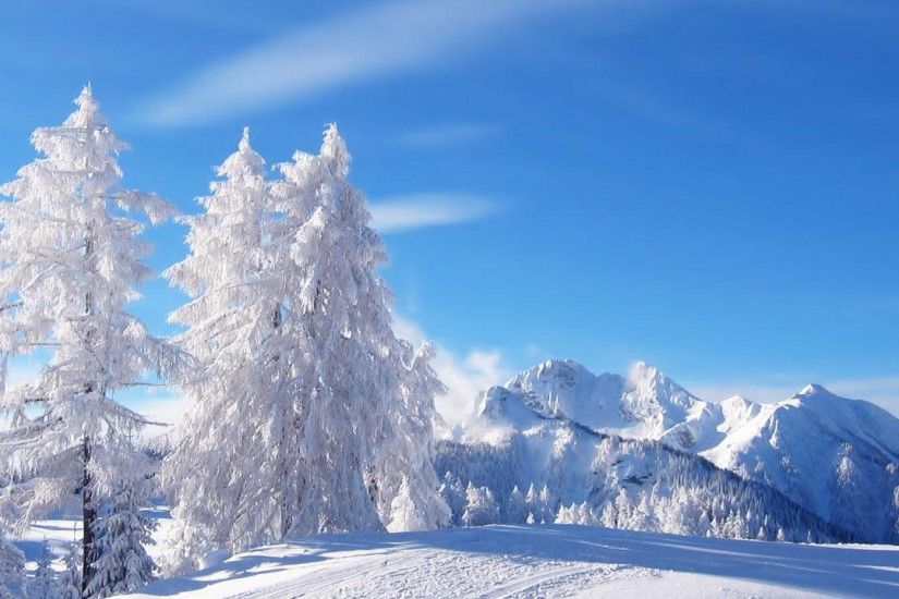 Snow Nature Winter Forest Trees Desktop Backgrounds National Geographic :  Winter for HD 16:9