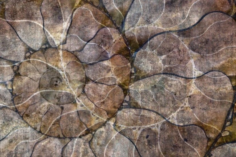 Contemporary wallpaper / vinyl / nature pattern - NAUTILUS