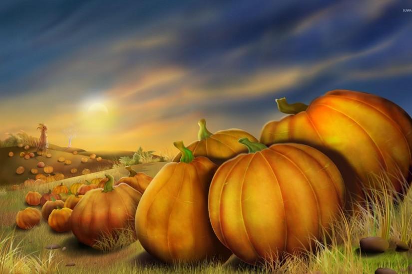 Field of pumpkins wallpaper