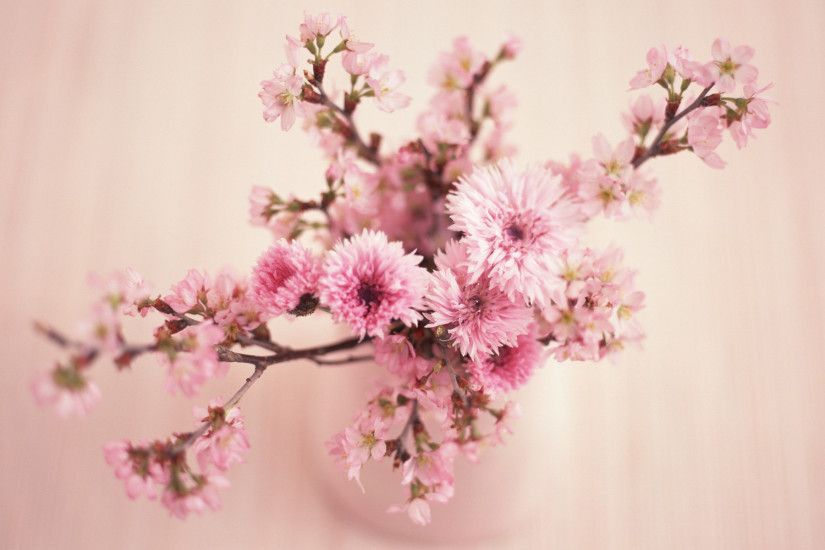 Pink Flowers | beauty wallpaper, flowers, pink flower | HD Desktop  Wallpapers