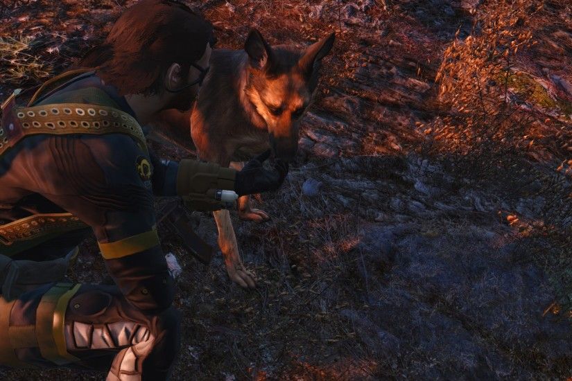 Snake and DD (Dogmeat) by Mr-FoxHound