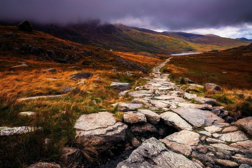 wales great britain wales united kingdom peninsula nature autumn stones  path fog clouds grass yellow