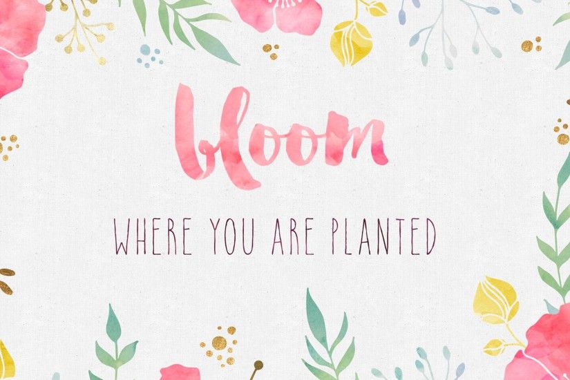 Free Desktop Wallpaper - Bloom Where you are Planted