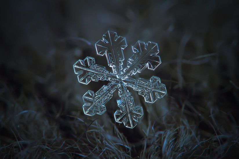 Vega-snowflake-desktop-wallpaper-by-Alexey-Kljatov-ChaoticMind75-