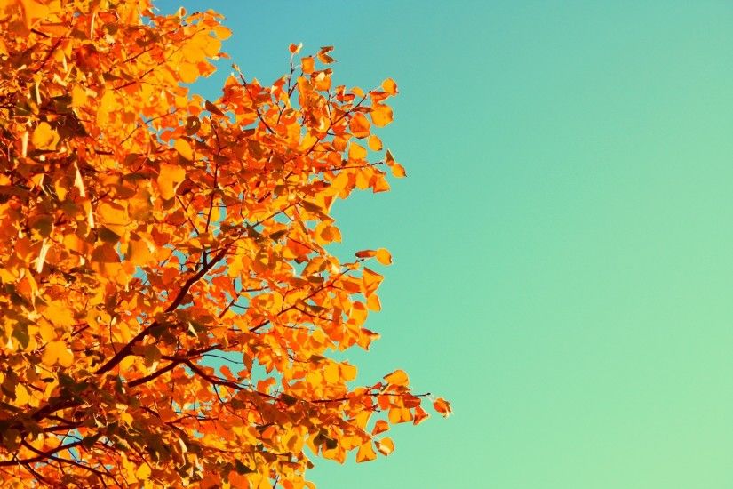 autumn free backgrounds desktop