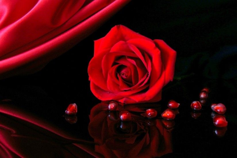 Download Red Rose Wallpaper Background #42982 1920x1080 px 503.05 KB Flowers