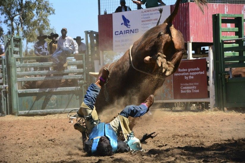 BULL RIDING bullrider cowboy western cow extreme bull rodeo wallpaper |  3000x2000 | 823827 | WallpaperUP