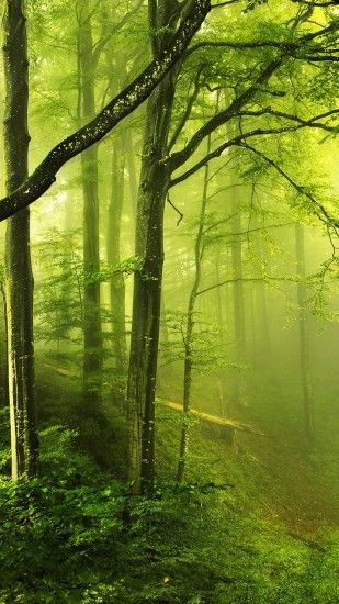 Fantasy Green Forest Android Wallpaper ...