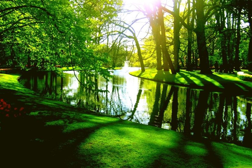 Photography - Park Green Tree River Pond Spring Wallpaper