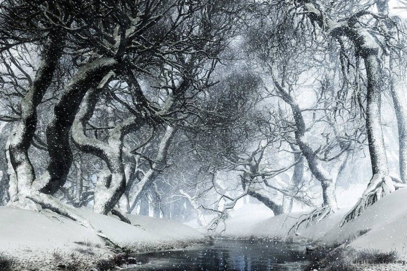 Snowy Forest Wallpapers - Wallpaper Cave