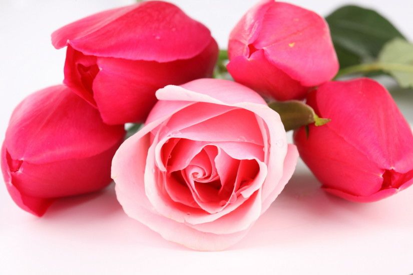 3D rose pictures wallpaper desktop.