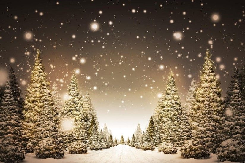 New Christmas Tree Sepia Tan Snow Pretty White Year Lane Black Path Winter  Desktop Wallpaper Free